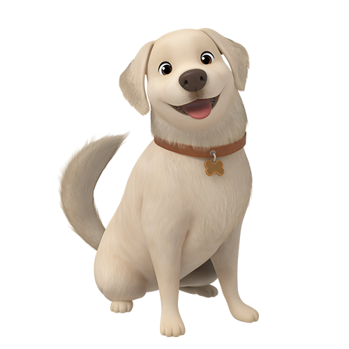 Pogeuni
